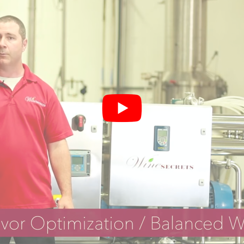 Technical resources for wine dealcoholization and no-low alcohol product innovation